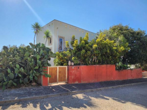Ingrina - House & Studio